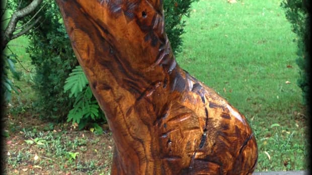 how-to-carve-beautiful-wood-art-from-dead-oak-and-other-hardwood-trees