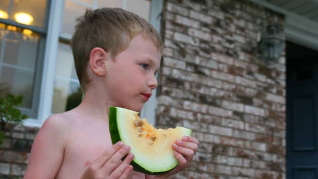 how-to-grow-orange-tendersweet-heirloom-watermelons