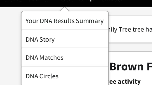 link-dna-to-family-tree