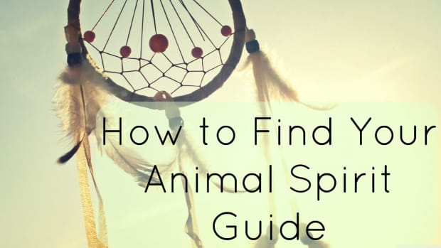 finding-your-spirit-guideanimal-totem