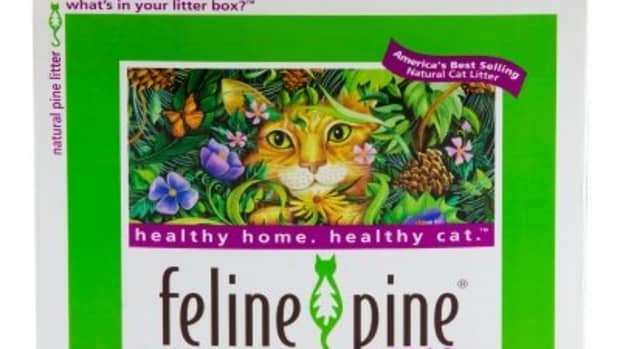 the-scoop-on-feline-pine