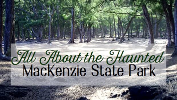 hidden-hawaii-the-haunted-mackenzie-state-park-in-opihikao-on-the-big-island