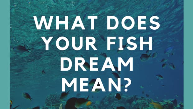 dreaming-of-fish-the-meaning-of-fish-in-dreams