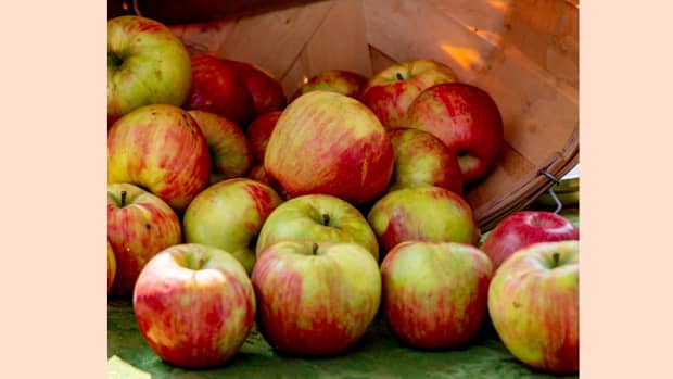 best-apples-for-baking