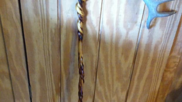 how-to-make-natural-curled-twisty-walking-sticks