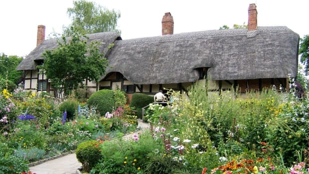an-english-cottage-garden-10-traditional-plants