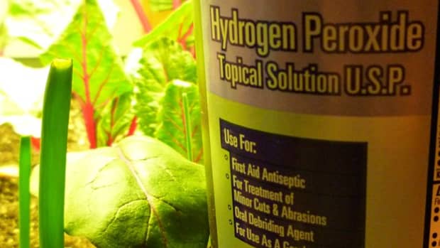 hydrogen-peroxide-for-plants