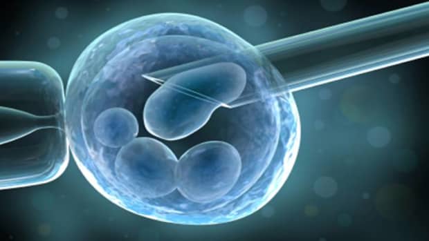 ethical-problems-of-human-embryonic-stem-cell-use-in-scientific-research