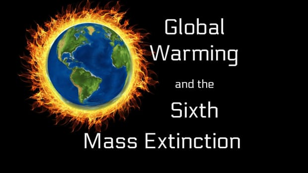 global-warming-and-the-sixth-mass-extinction