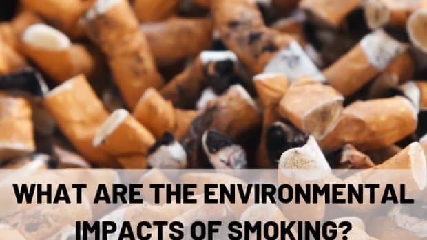 smoking-beyond-you-the-environmental-impact-of-cigarettes