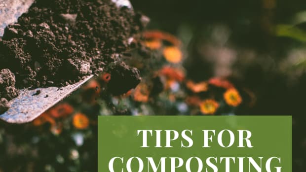 items-to-compost