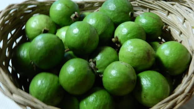 how-to-make-easy-homemade-guava-jam