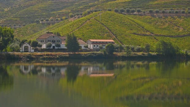 wineries-in-portugal-for-beginners-portuguese-wine