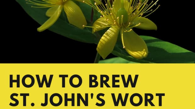 How to Brew Fresh Iced Tea at Home With a Drip Coffee Pot - Delishably