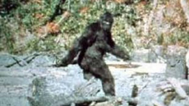 was-bigfoot-put-on-earth-by-ancient-aliens