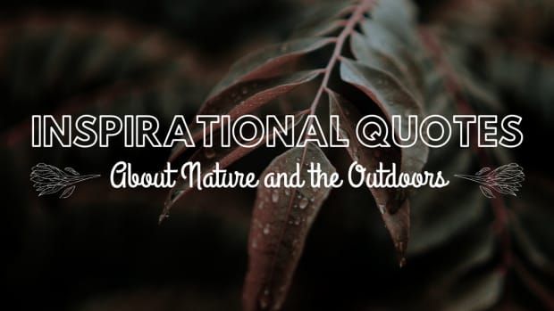 quotes-about-nature-a-collection-of-nature-quotes-for-inspiration-and-peace