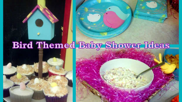 party-ideas-for-a-bird-themed-baby-shower