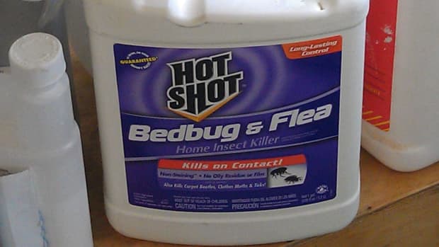 bed-bug-spray-reviews-hot-shot-bed-bug-and-flea-spray