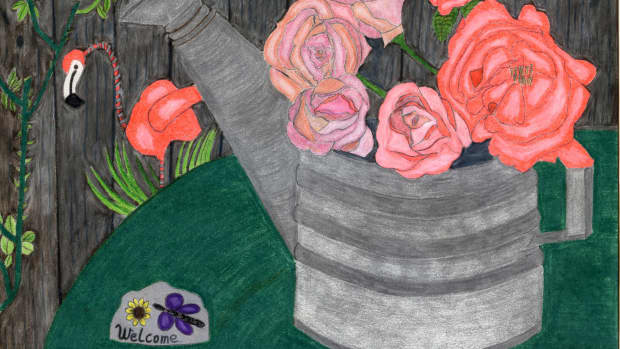 drawing-a-picture-of-roses