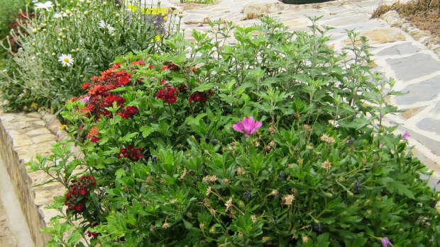 how-to-make-a-beautiful-garden-and-keep-within-your-budget