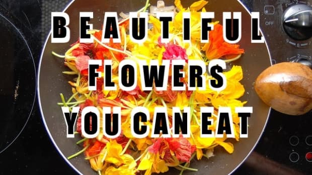 25-flowers-you-can-eat