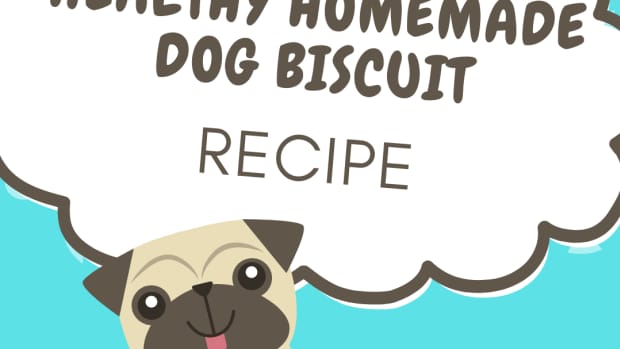 how-to-make-homemade-dog-biscuits