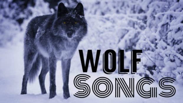 wolf-songs