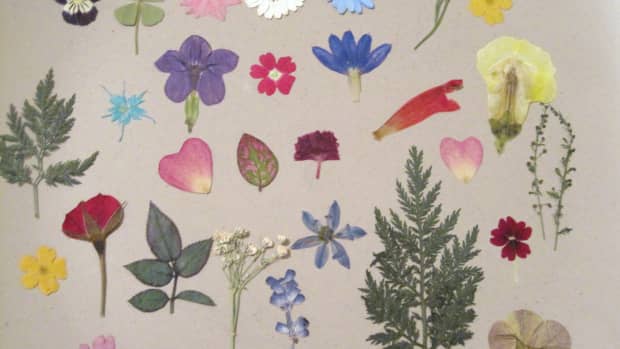 Pressed Flowers – Overview