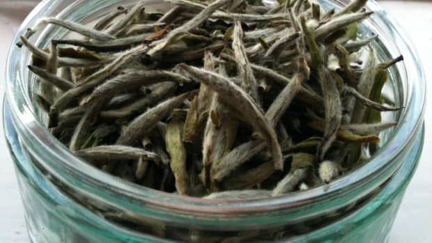 a-complete-guide-for-newbies-to-green-and-white-tea