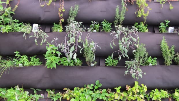how-to-build-a-vertical-vegetable-garden