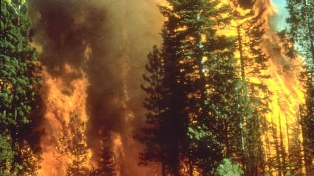 decreasing-wildfire-risk-to-your-home-and-structures