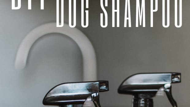 homemade-dog-shampoo-recipe