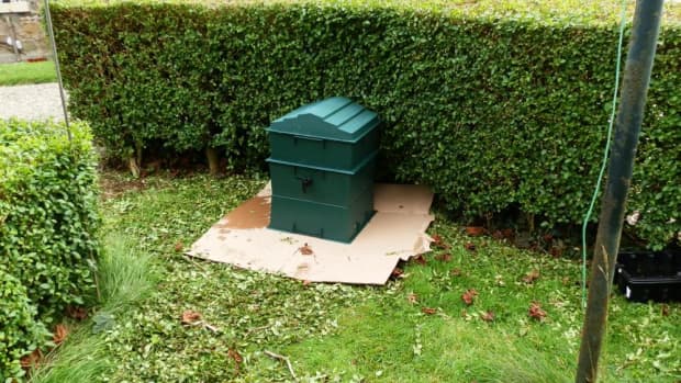 how-to-set-up-a-worm-composting-bin