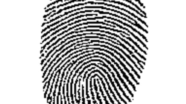 what-your-fingerprints-say-about-you