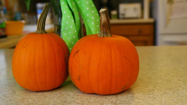 how-to-make-fresh-pumpkin-puree