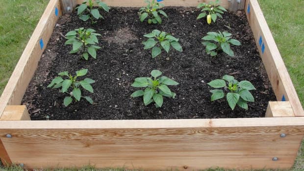 how-to-plan-a-raised-garden-bed