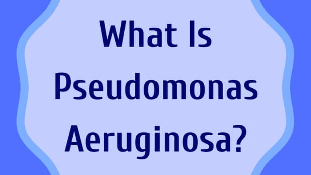pseudomonas-infection-symptoms-treatment-self-help