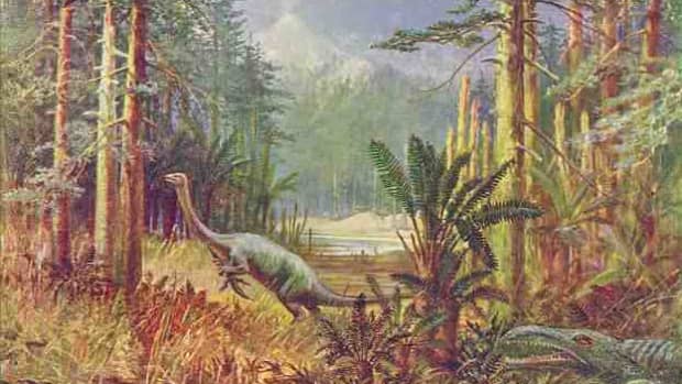mokele-mbembe-and-other-dinosaurs-still-alive-in-africa-today