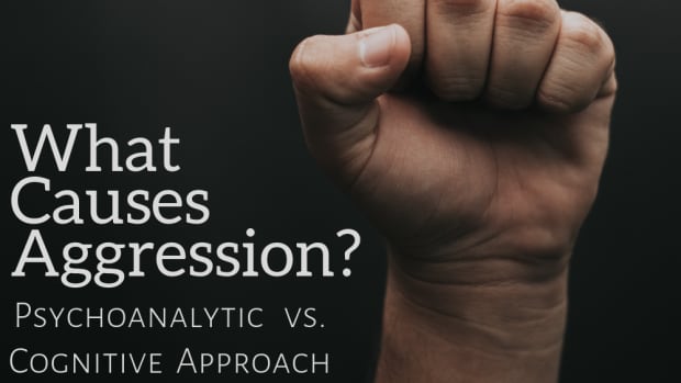 causes-of-aggression-what-causes-aggression-a-psychological-perspective