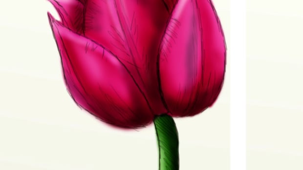 how-to-draw-a-beautiful-tulip