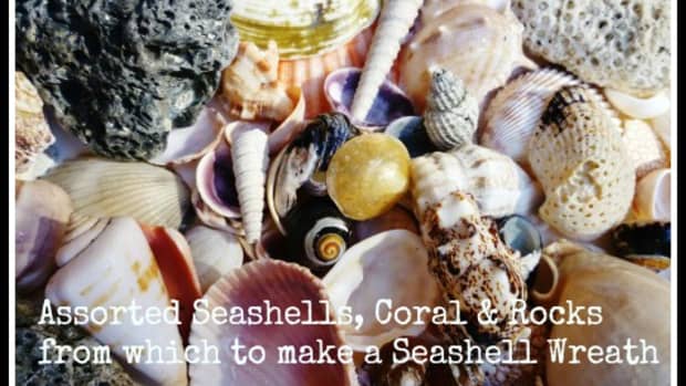 how-to-make-a-seashell-wreath-wreath-making