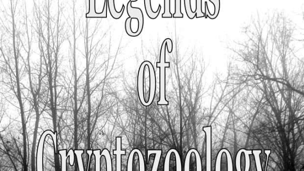 paranormal-creatures-list-the-mythical-monsters-of-cryptozoology