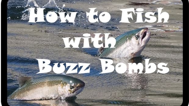 how-to-catch-fish-with-buzz-bombs