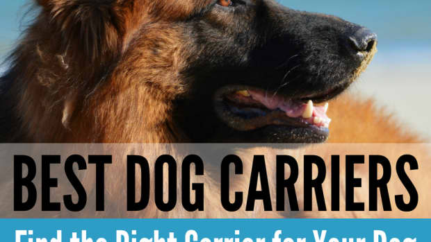 best-dog-carriers