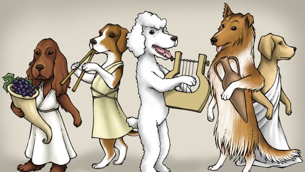 Top 50 Famous Cartoon Character Dog Names - PetHelpful