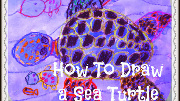 how-to-draw-and-paint-a-sea-turtle