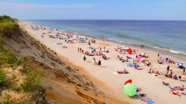 Best Beaches for Shelling in the U.S., From California to Florida -  WanderWisdom