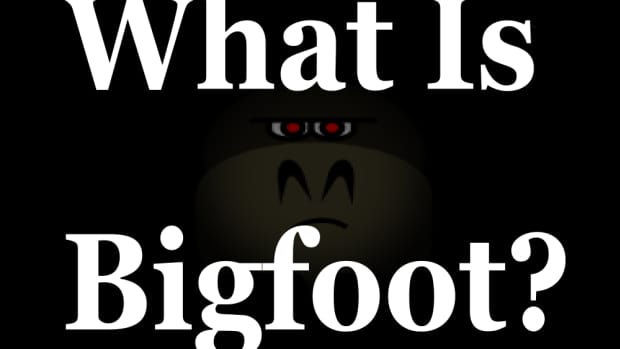 bigfoot-theories-what-is-bigfoot-really