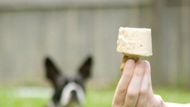 peanut-butter-pupsicles-gourmet-treats-for-dog-recipe-with-pictures