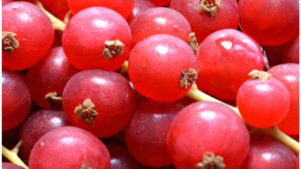 red-currant-health-benefits